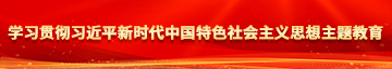 小鸡巴操逼学习贯彻习近平新时代中国特色社会主义思想主题教育